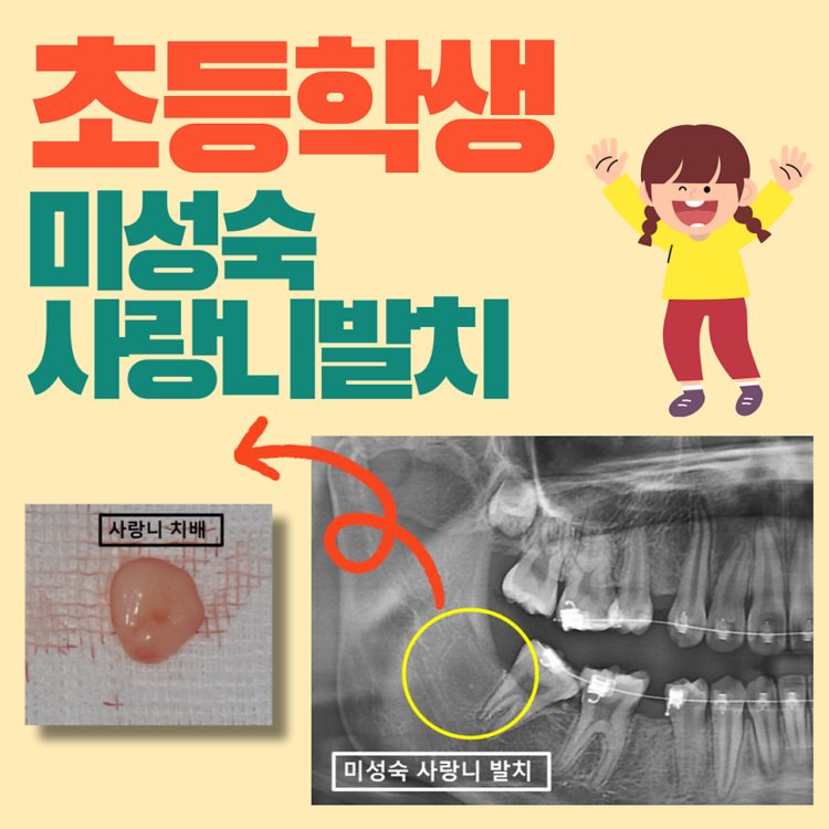 매탄동치과