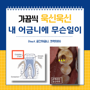 매교동치과