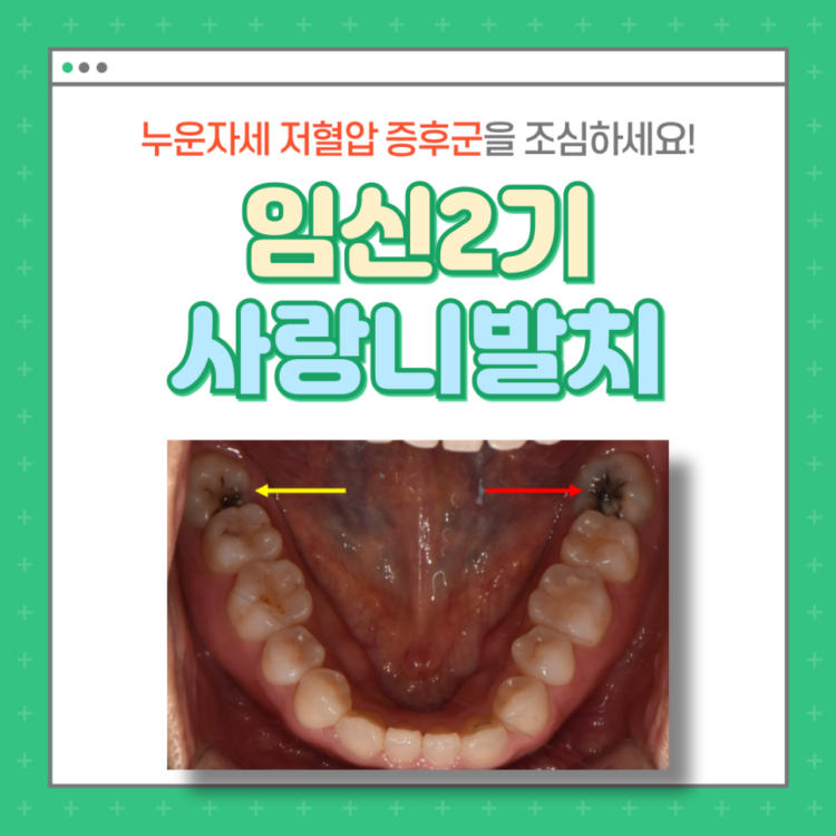 매교역치과