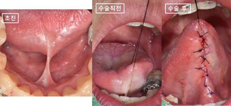 매탄동치과