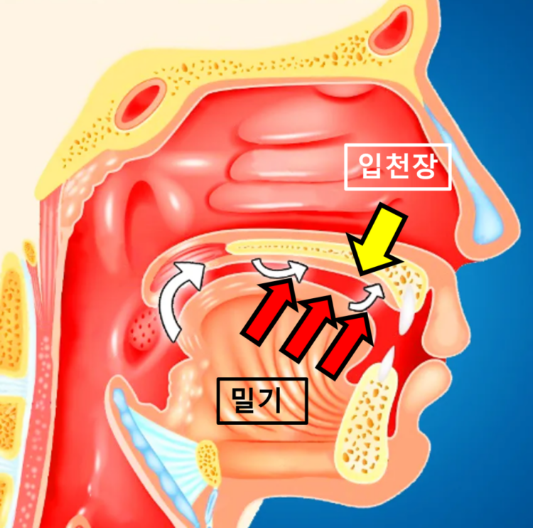 매탄동치과
