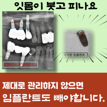 매교역치과