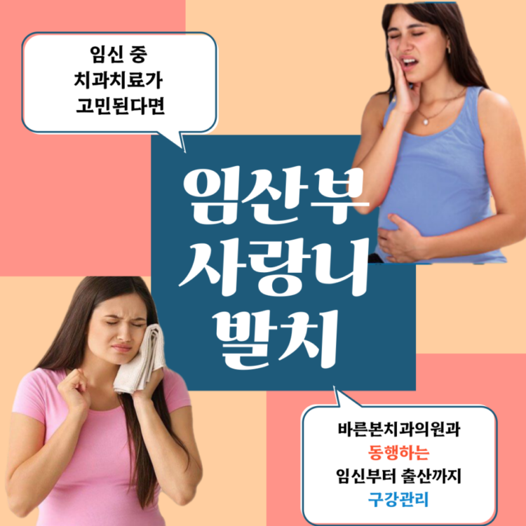 매교동치과