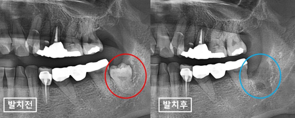 매교역치과