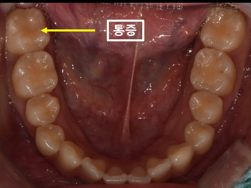 매교역치과