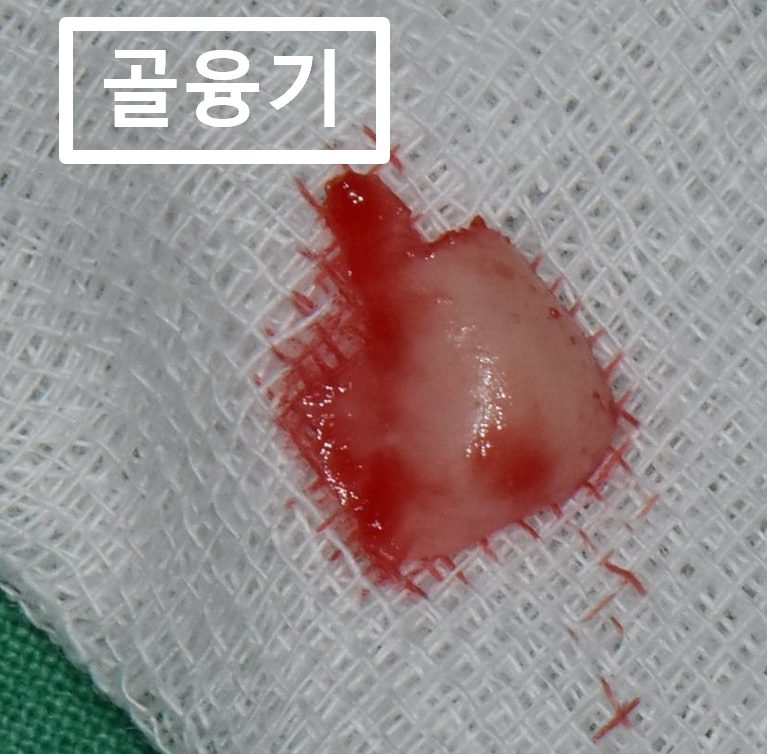 수원시청역치과