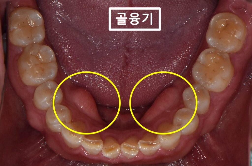 수원시청역치과